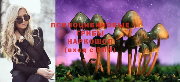 гашик Краснотурьинск