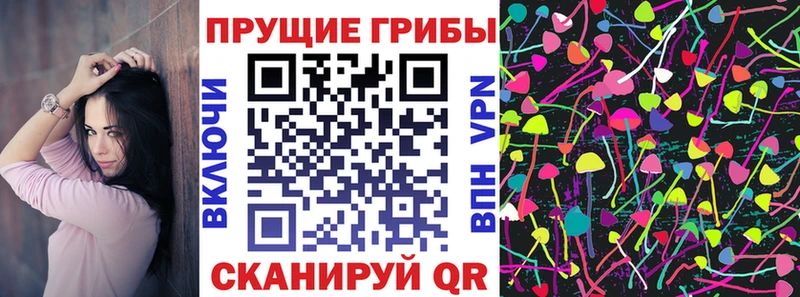 Псилоцибиновые грибы Cubensis  где продают   Арзамас 